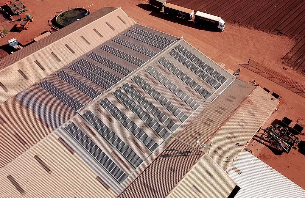 Plantation Farms solar installation